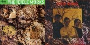 [Icicle Works CD and Cassette]