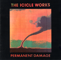 [Permanent Damage Album]